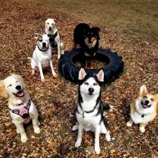 Auroraw Doggy Stay and Play Dog Boarding + Daycare | 8131 NB-126, Harcourt, NB E4T 2Z7, Canada