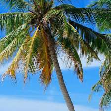 K Barnes Travel - Destination Wedding Specialist & Travel Agent | Watrous, SK S0K 4T0, Canada