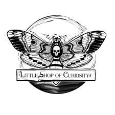 Little Shop of Curiosity | 309 Cimarron Vista Way, Okotoks, AB T1S 0J6, Canada