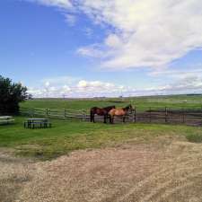 Crossfield Horse Park | 291113 RR 10, Crossfield, AB T0M 0S0, Canada