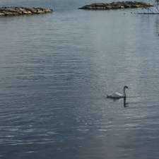 Burloak Park | 5599 King's Hwy 2, Burlington, ON L7L 1C9, Canada