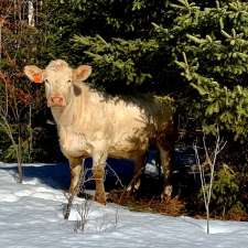 Collette Livestock | 486 Chemin St Lazare, Sainte-Marie-de-Kent, NB E4S 2K5, Canada