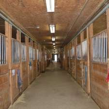 Equestrian Center Belle Rivière | 1463 Rang de la Belle-Rivière, Sainte-Julie, QC J3E 1Y2, Canada