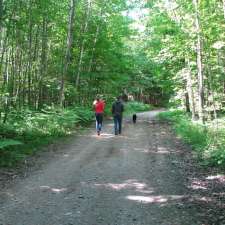 Trail head, Wilberforce: Prospector Trail | School Rd, Wilberforce, ON K0L 3C0, Canada