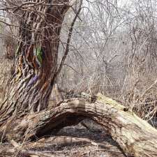 Taplow Creek Trail | 1903 Pilgrims Way, Oakville, ON L6M 2X1, Canada