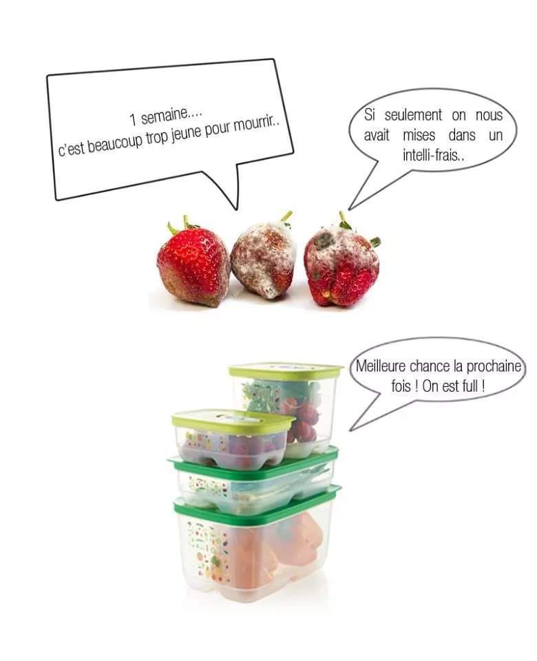 Mr.&Mrs. Tupperware | 7380 Bd Wilfrid-Hamel, Québec, QC G2G 0L5, Canada | Phone: (418) 265-5161