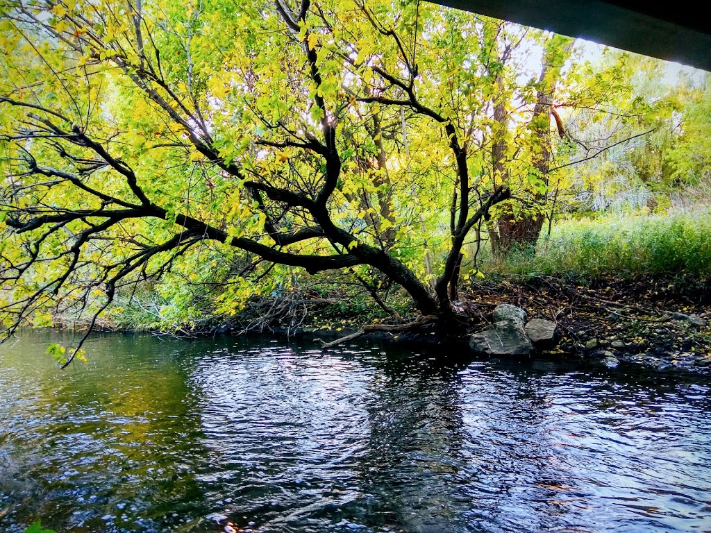 Schneider Creek | Pioneer Park, Kitchener, ON N2P, Canada