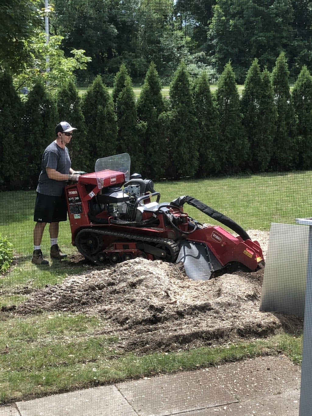 Cochrane Total Tree Service | 2270 Melissa Crescent, Burlington, ON L7P 4J5, Canada | Phone: (289) 230-8733