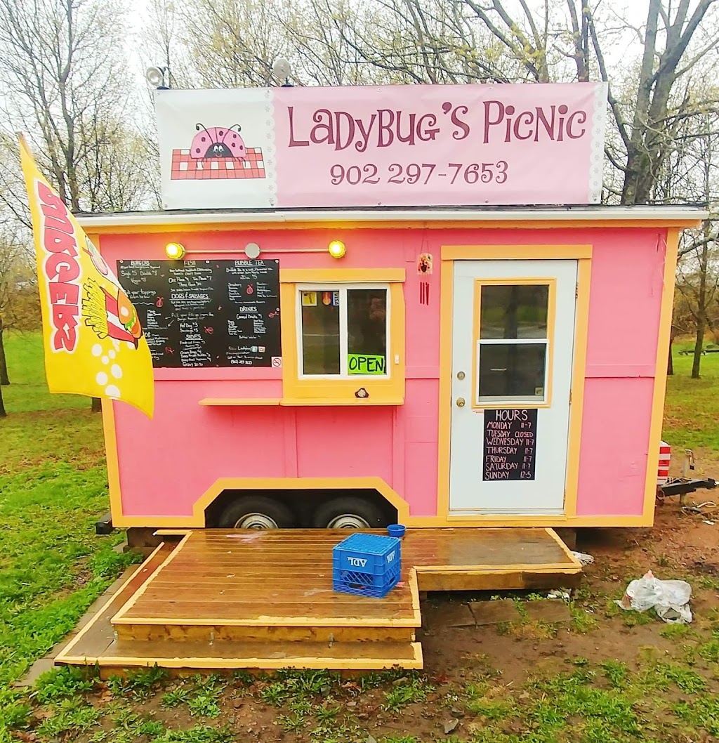 Ladybugs Picnic | 69 Albion St, Amherst, NS B4H 2W2, Canada | Phone: (902) 297-7653