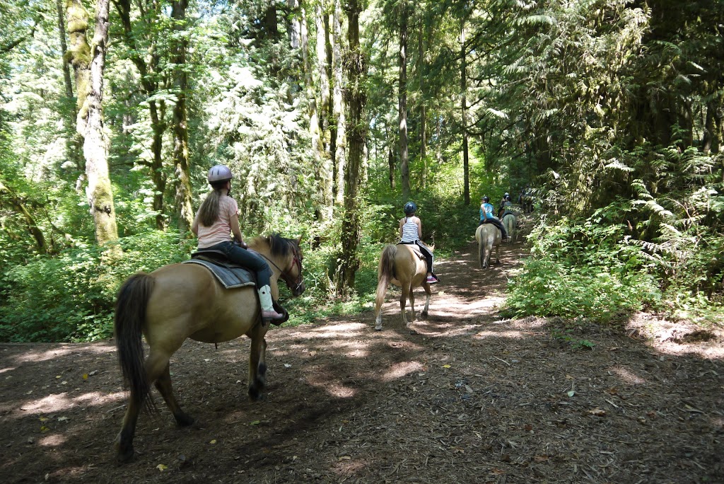 Timberline Ranch | 22351 144 Ave, Maple Ridge, BC V4R 2P8, Canada | Phone: (604) 463-9278