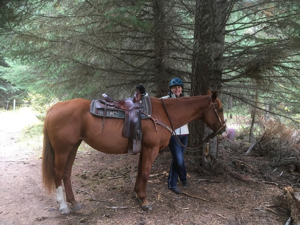 Inspire horsemanship | 9611 BC-97C, Merritt, BC V1K 1M6, Canada | Phone: (250) 574-1498