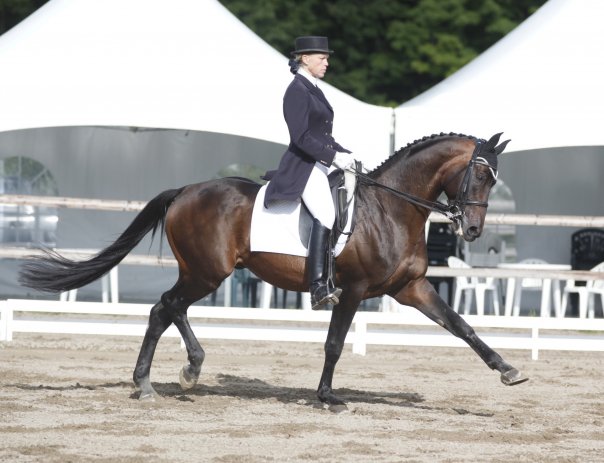 Centre Equestre Evasion | 2005 Chemin Lemire, Sherbrooke, QC J1H 0C5, Canada | Phone: (819) 345-2206