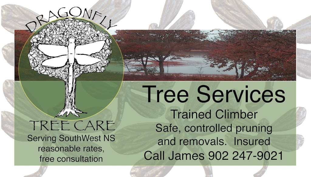 Dragonfly Tree Care | 7032 NS-340, Weaver Settlement, NS B0W 3T0, Canada | Phone: (902) 247-9021