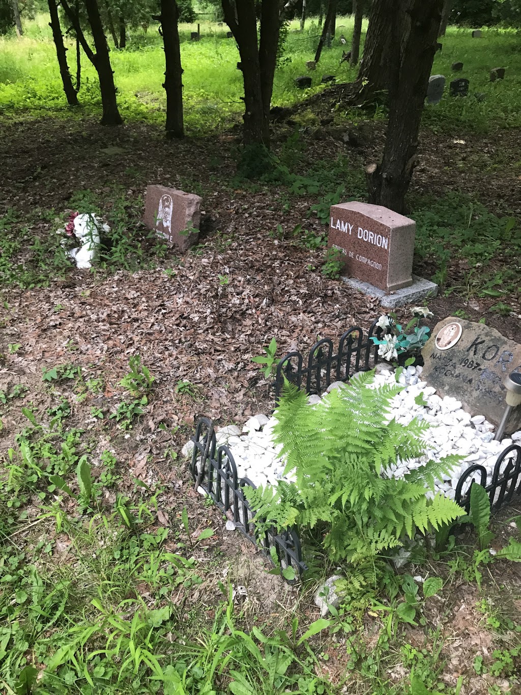 Reposium Pet Cemetery | 1261 Chemin Saint-Louis, Beauharnois, QC J6N 3B8, Canada | Phone: (514) 849-6591