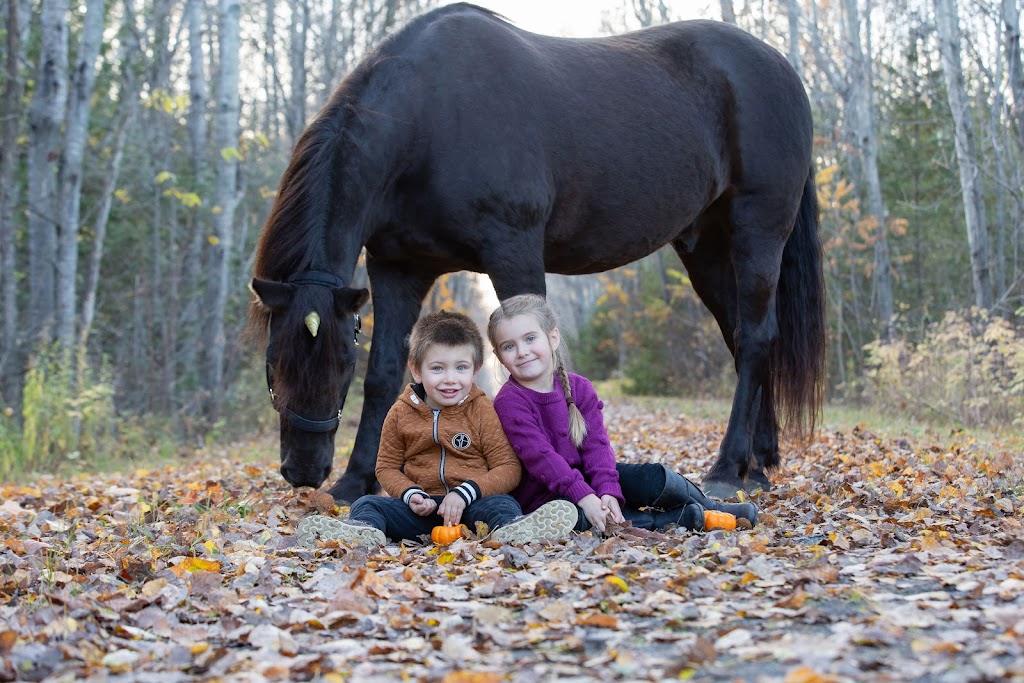 The Rustic Lens Photography & Design | 111 Bonnechere St W, Eganville, ON K0J 1T0, Canada | Phone: (613) 717-0240