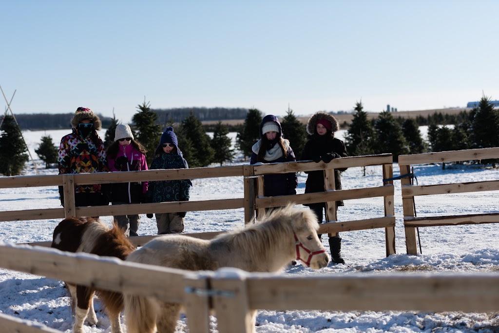 Coupez Votre Sapin S.E.N.C | 108 Rang Saint-Pierre, Saint-Isidore, QC G0S 2S0, Canada | Phone: (418) 204-9253