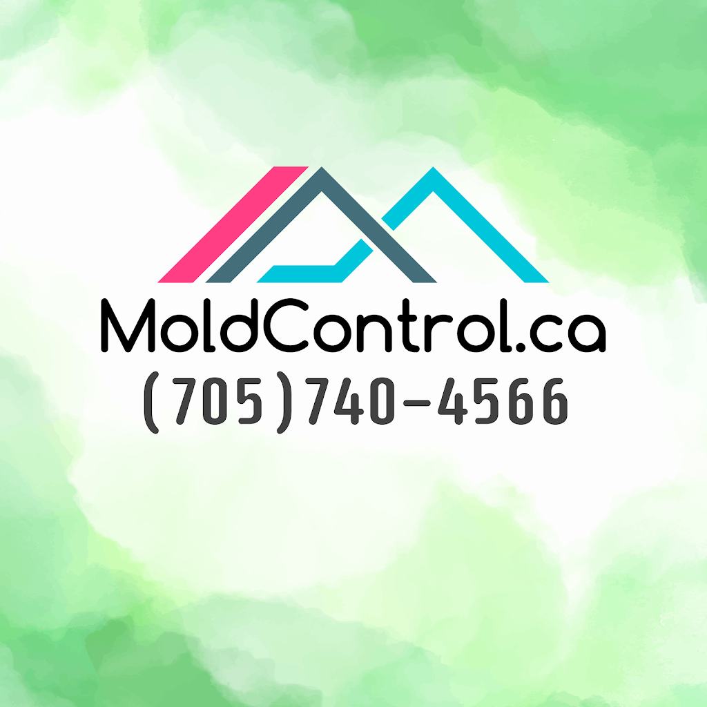 MoldControl Mold Removal Peterborough | 1708 Woodgrove Crescent, Peterborough, ON K9K 1N2, Canada | Phone: (705) 740-4566