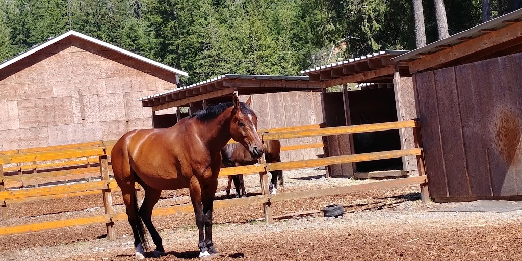 Cedar Vista Stables | rd 3x8, 4060 Happy Valley Rd, Victoria, BC V9C 3X8, Canada | Phone: (250) 391-1484