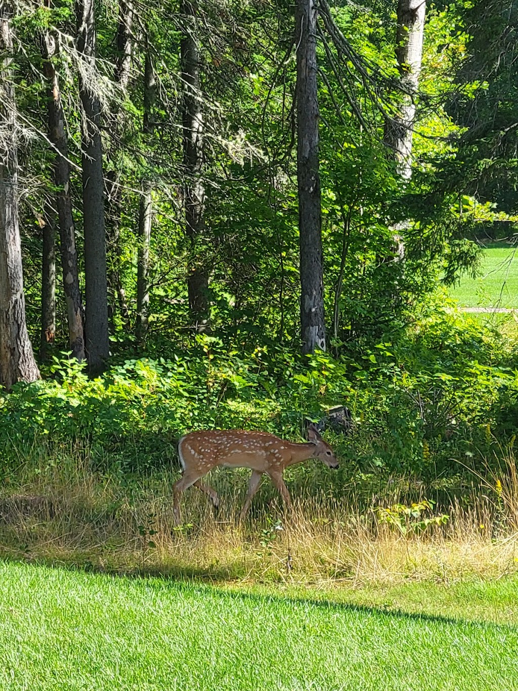 Moncton Golf Club | 212 Coverdale Rd, Riverview, NB E1B 4T9, Canada | Phone: (506) 387-3850