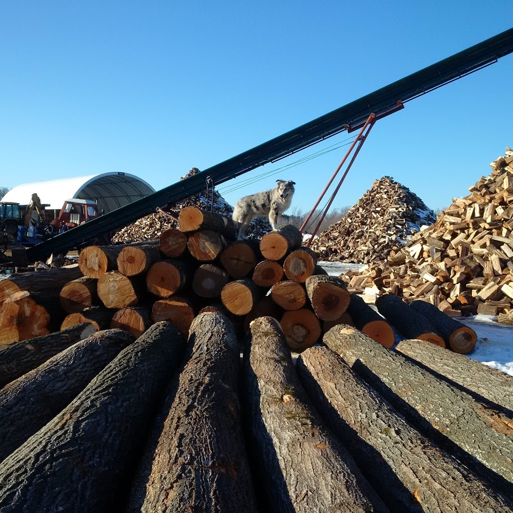 J & R Firewood | 2989 County Rd 42, Creemore, ON L0M 1G0, Canada | Phone: (705) 466-2320