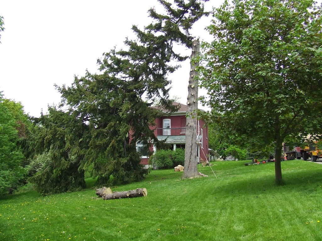 Joels Tree Service | 5009 Line 6, St. Marys, ON N4X 1C8, Canada | Phone: (519) 272-5742