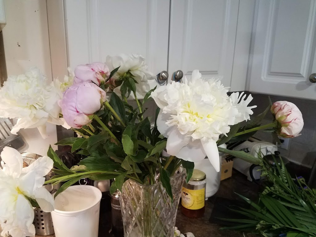 Cabbage Rose Lane Flower Shop | 3286 Roseville Rd, Ayr, ON N0B 1E0, Canada | Phone: (519) 653-3417