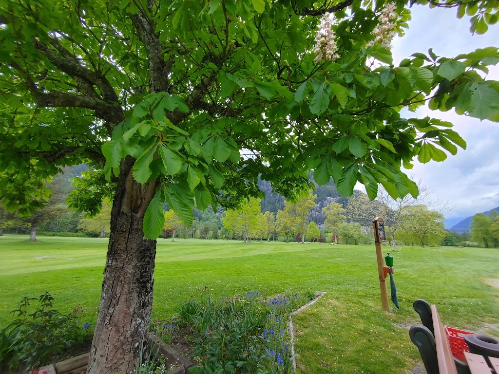 Harrison Resort Golf Course | 3891 Hot Springs Rd, Agassiz, BC V0M 1A1, Canada | Phone: (604) 796-9009