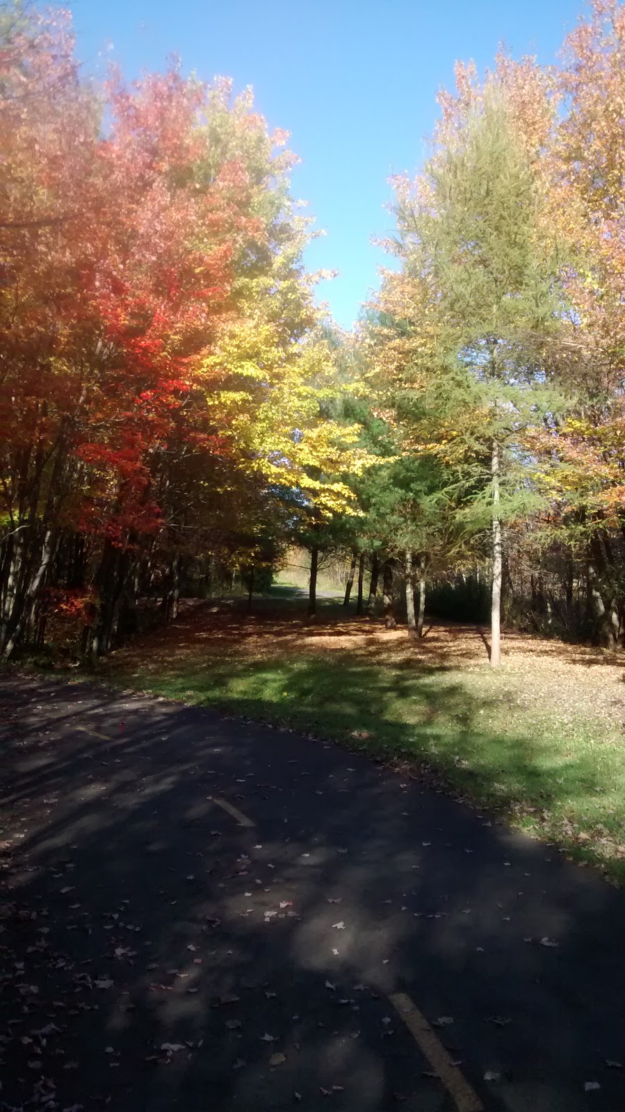 Parc des Grandes-Pointes | Chemin Petit St Jean, Saint-Étienne-de-Lauzon, QC G6J 1B2, Canada | Phone: (418) 836-2194