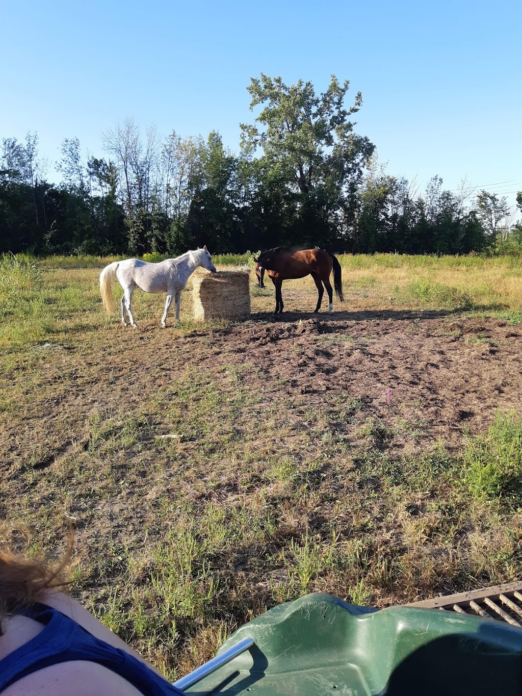 Equestrian Riding Center Bonanza | 65 Chem. de lÉquerre, Laval, QC H7L 1W3, Canada | Phone: (450) 625-6031