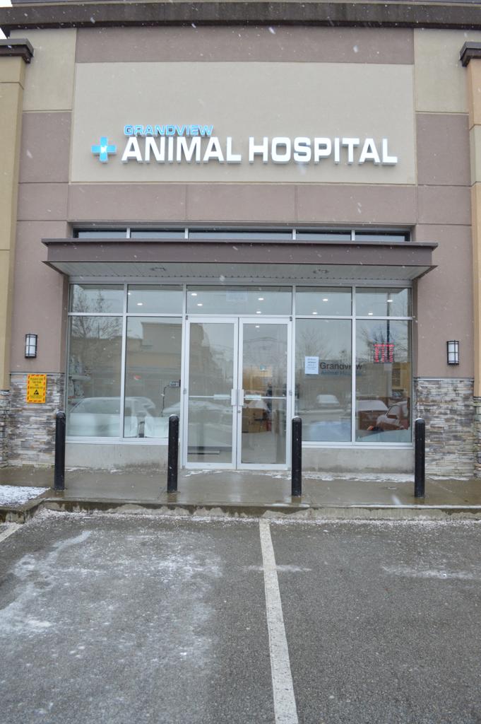 Grandview Animal Hospital | 2215 160 St Unit 30, Surrey, BC V3Z 9N6, Canada | Phone: (604) 385-3662