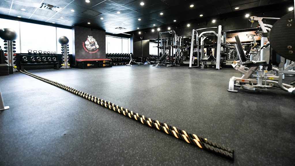 Cowboy Fitness North York | 309 Sheppard Ave E, North York, ON M2N 3B3, Canada | Phone: (647) 975-3567