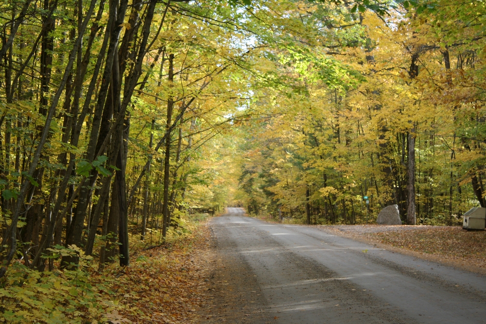 Indian Point Provincial Park | Indian Point Rd, Coboconk, ON K0M 1K0, Canada | Phone: (705) 454-3324