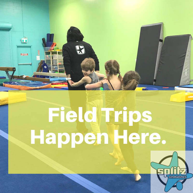 Splitz Gymnastics Centres Ltd. | 34150 S Fraser Way #103A, Abbotsford, BC V2S 2C6, Canada | Phone: (604) 864-0396