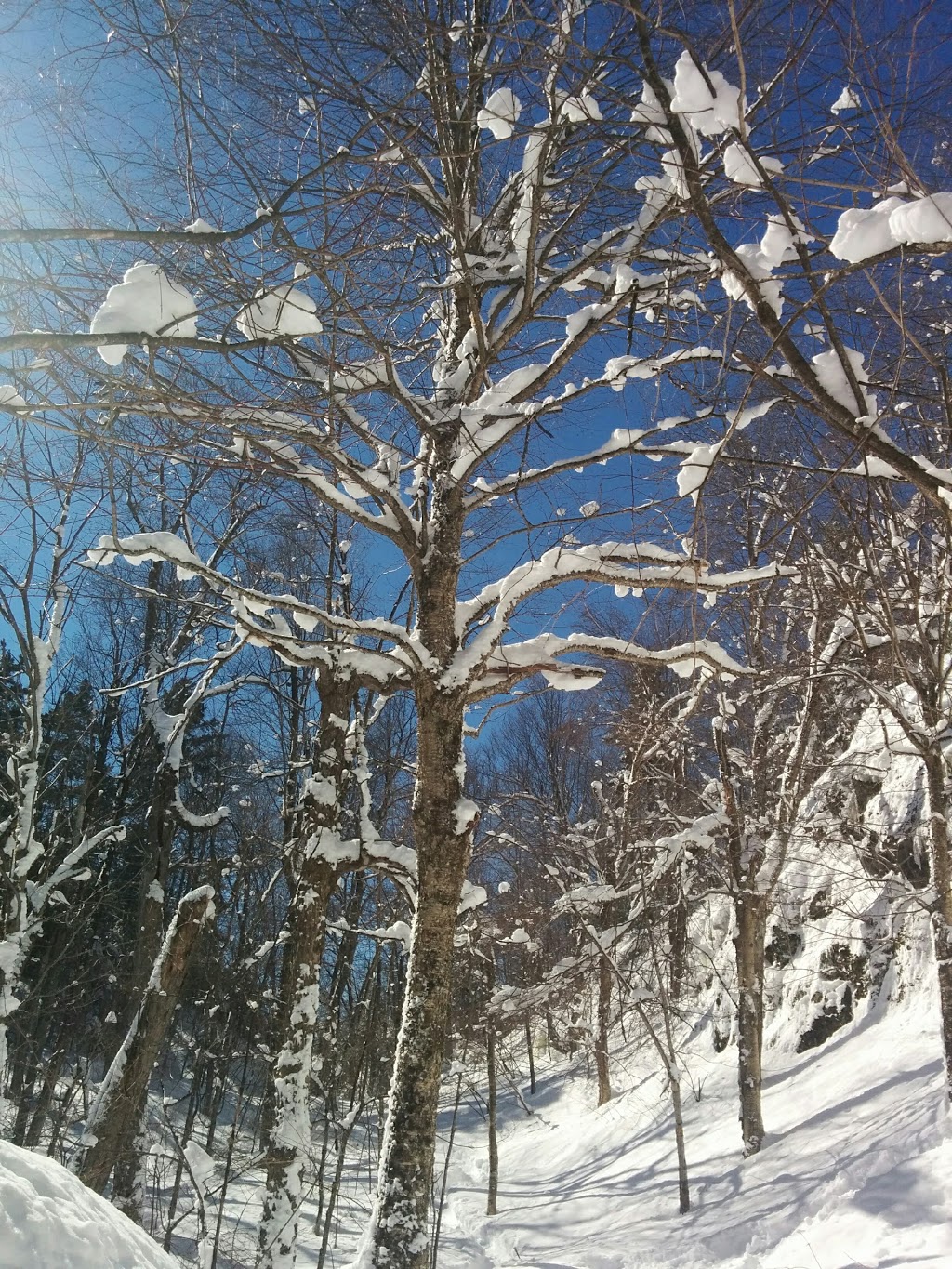 Société des établissements de plein air du Québec (SÉPAQ) | 3321 Chemin du Parc, Orford, QC J1X 7A2, Canada | Phone: (819) 843-9855