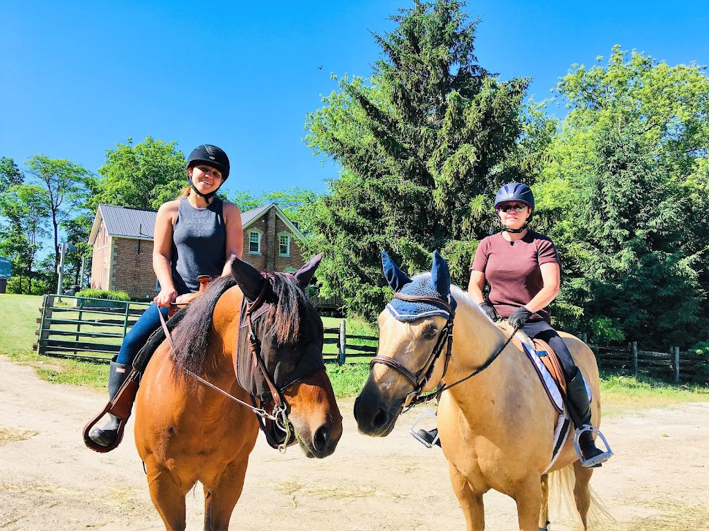 Brightside Equestrian Centre | 398141 Concession Rd 10, Owen Sound, ON N4K 5N8, Canada | Phone: (519) 925-9641