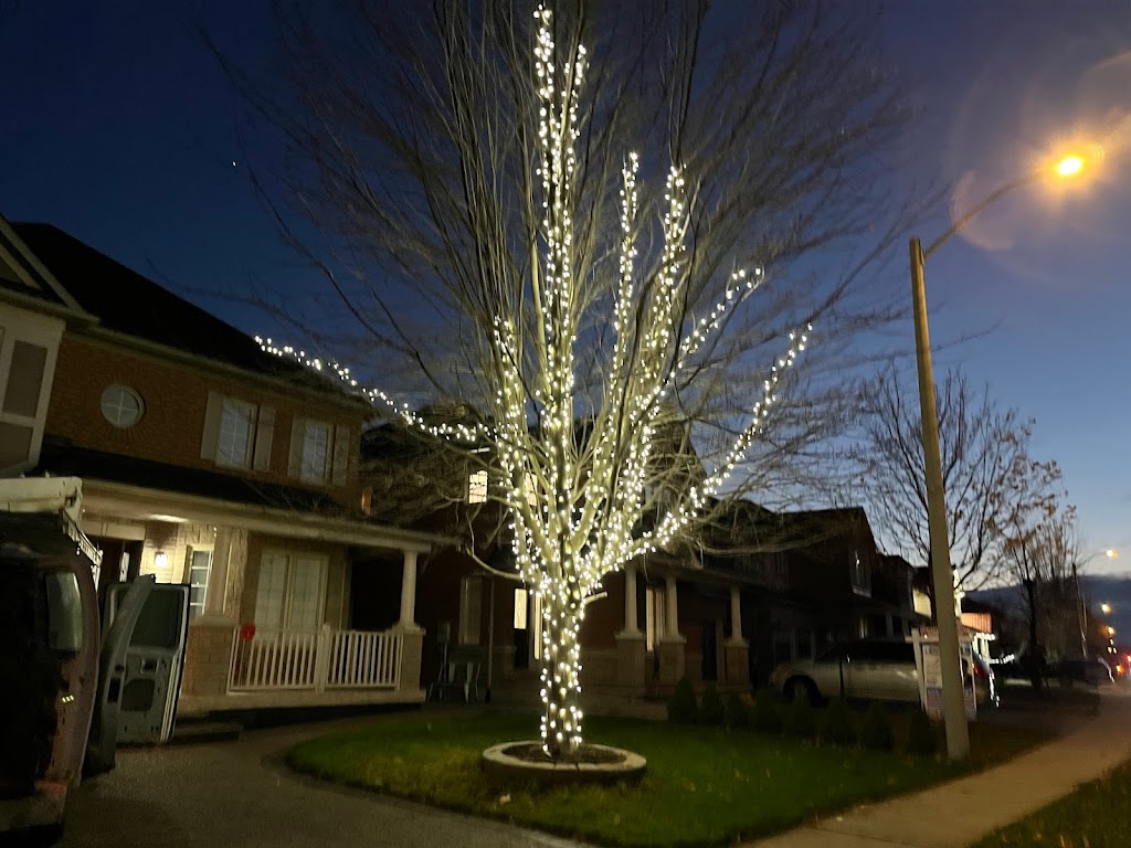 Christmas Lights London | 56 Portsmouth Rd, London, ON N5V 4E2, Canada | Phone: (519) 471-1649