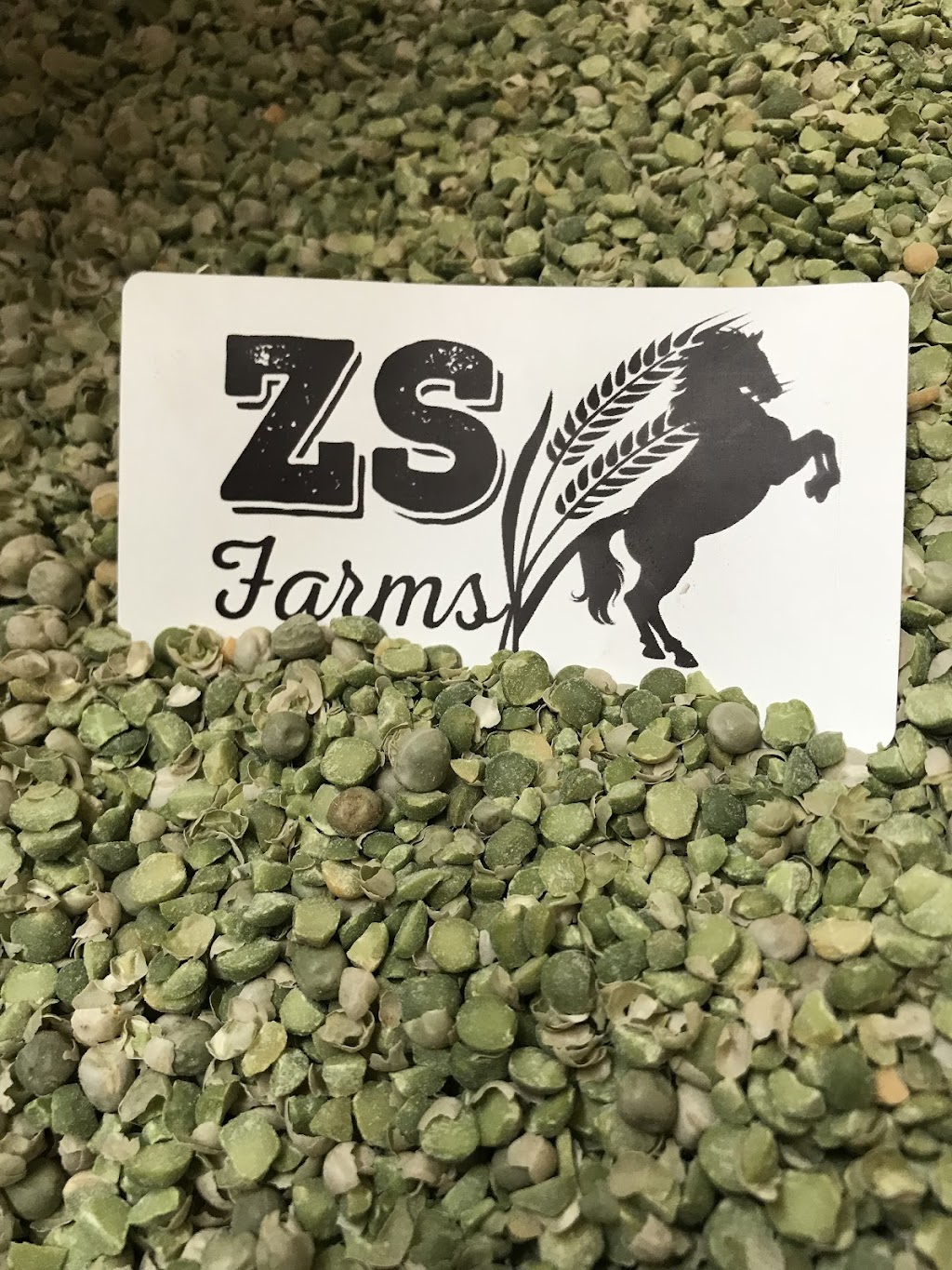 ZS Farms | Box 123, Daysland, AB T0B 1A0, Canada | Phone: (780) 608-9426