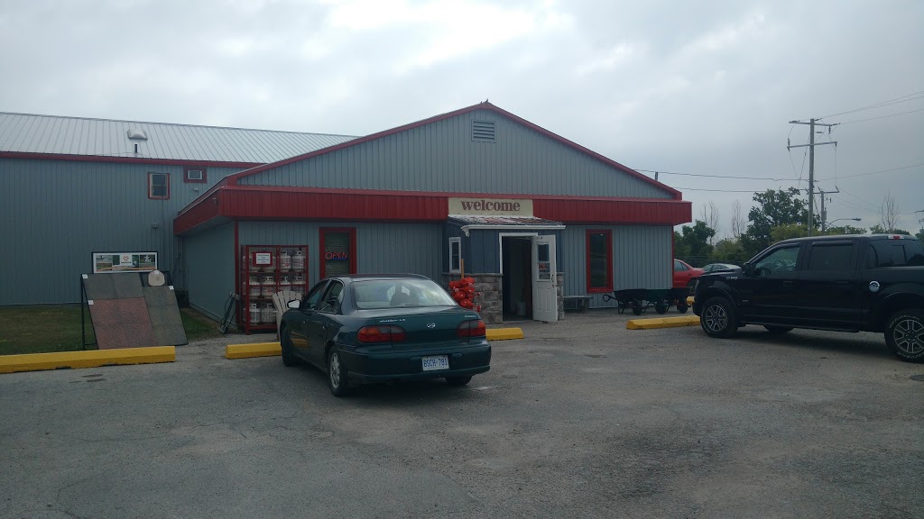 Ace Hardware Cayuga | 86 Munsee St N, Cayuga, ON N0A 1E0, Canada | Phone: (905) 772-3365