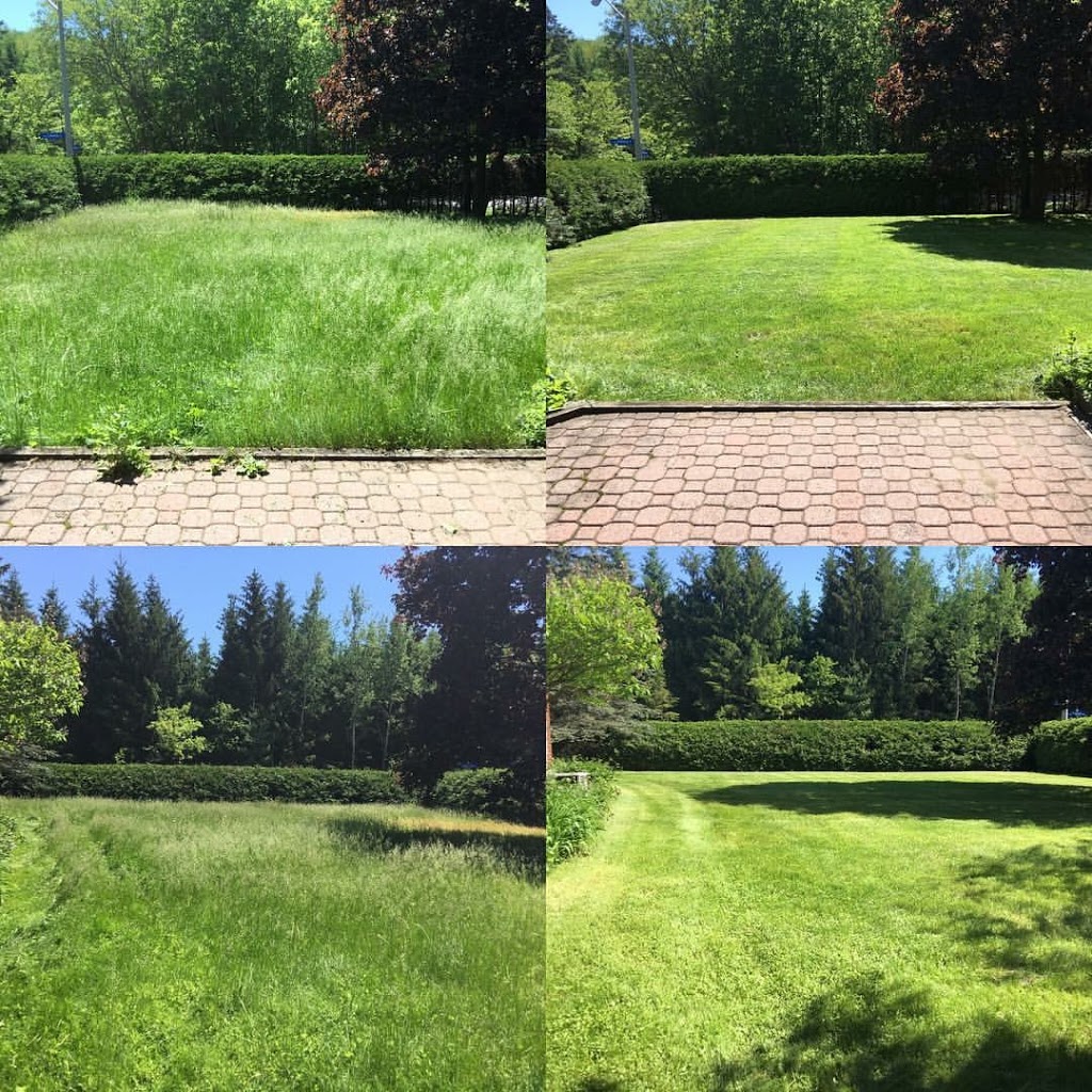 Denali Lawncare & Snow Removal | 105 Grey Stone Dr, Carp, ON K0A 1L0, Canada | Phone: (613) 854-0001