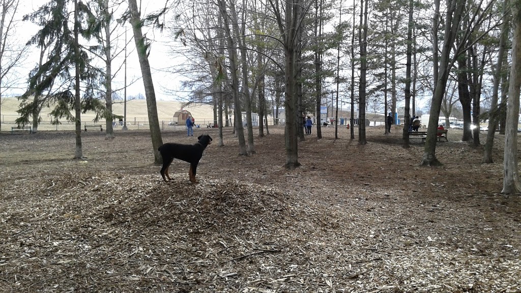 Quinte Dog Park | Mary St, Belleville, ON K8P 3P6, Canada | Phone: (613) 967-3275