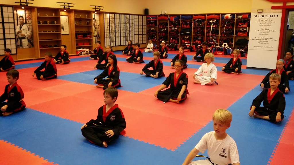 Black Tigers Tae Kwon Do | Needing building, 1001 Emo Dr, Thunder Bay, ON P7C 4W1, Canada | Phone: (807) 622-6833