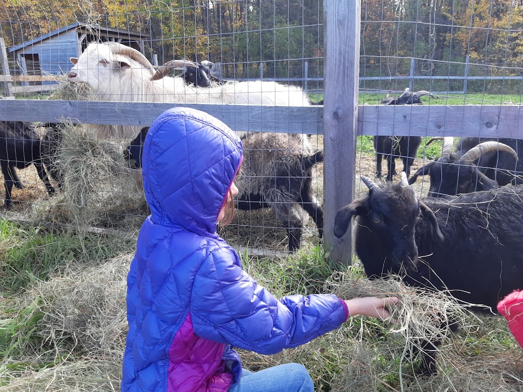 La ferme Pélipa | 1120 Rue Saint-Aimé, Saint-Lambert-de-Lauzon, QC G0S 2W0, Canada | Phone: (581) 888-1452