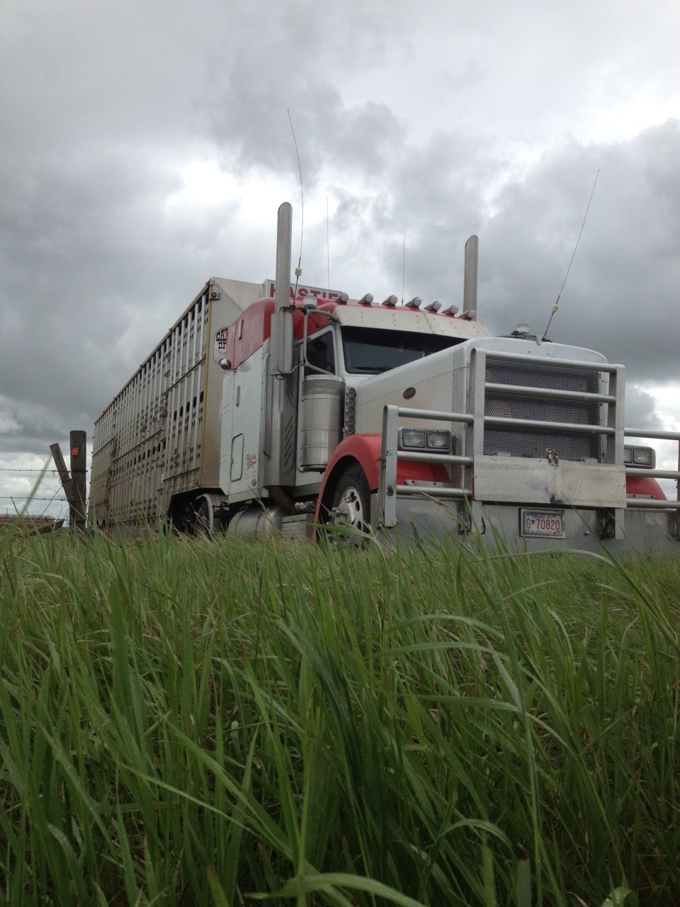 Hastie Hauling | Trochu, AB T0M 2C0, Canada | Phone: (403) 588-7926