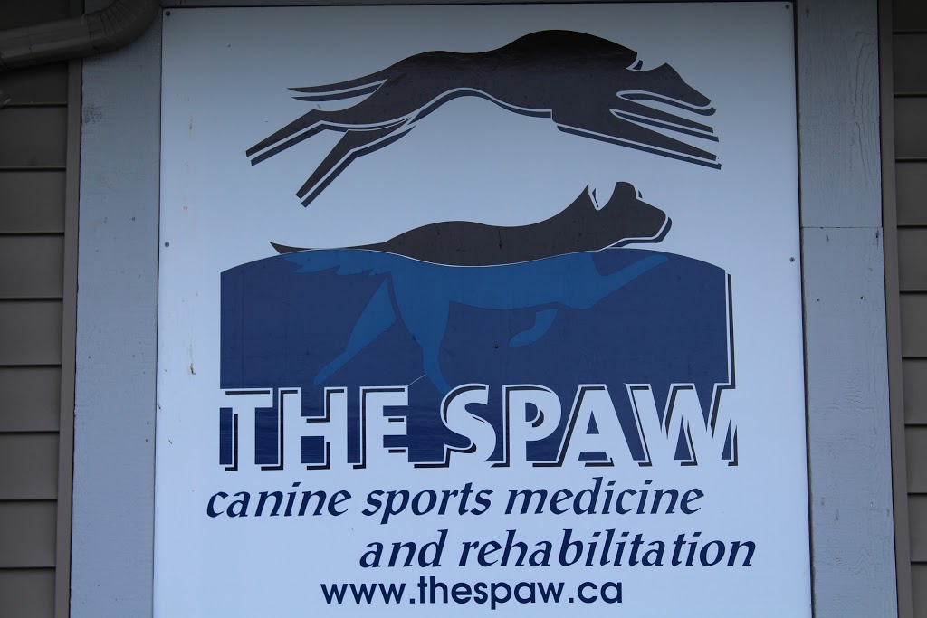 The SPAW, Pet Rehabilitation and Fitness Centre | 26841 Fraser Hwy, Aldergrove, BC V4W 3E4, Canada | Phone: (778) 838-7729