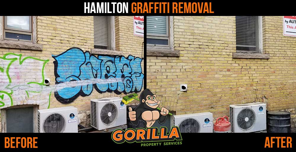 Gorilla Property Services | 2-558 Upper Gage Ave Ste 119, Hamilton, ON L8V 4J6, Canada | Phone: (905) 963-9059