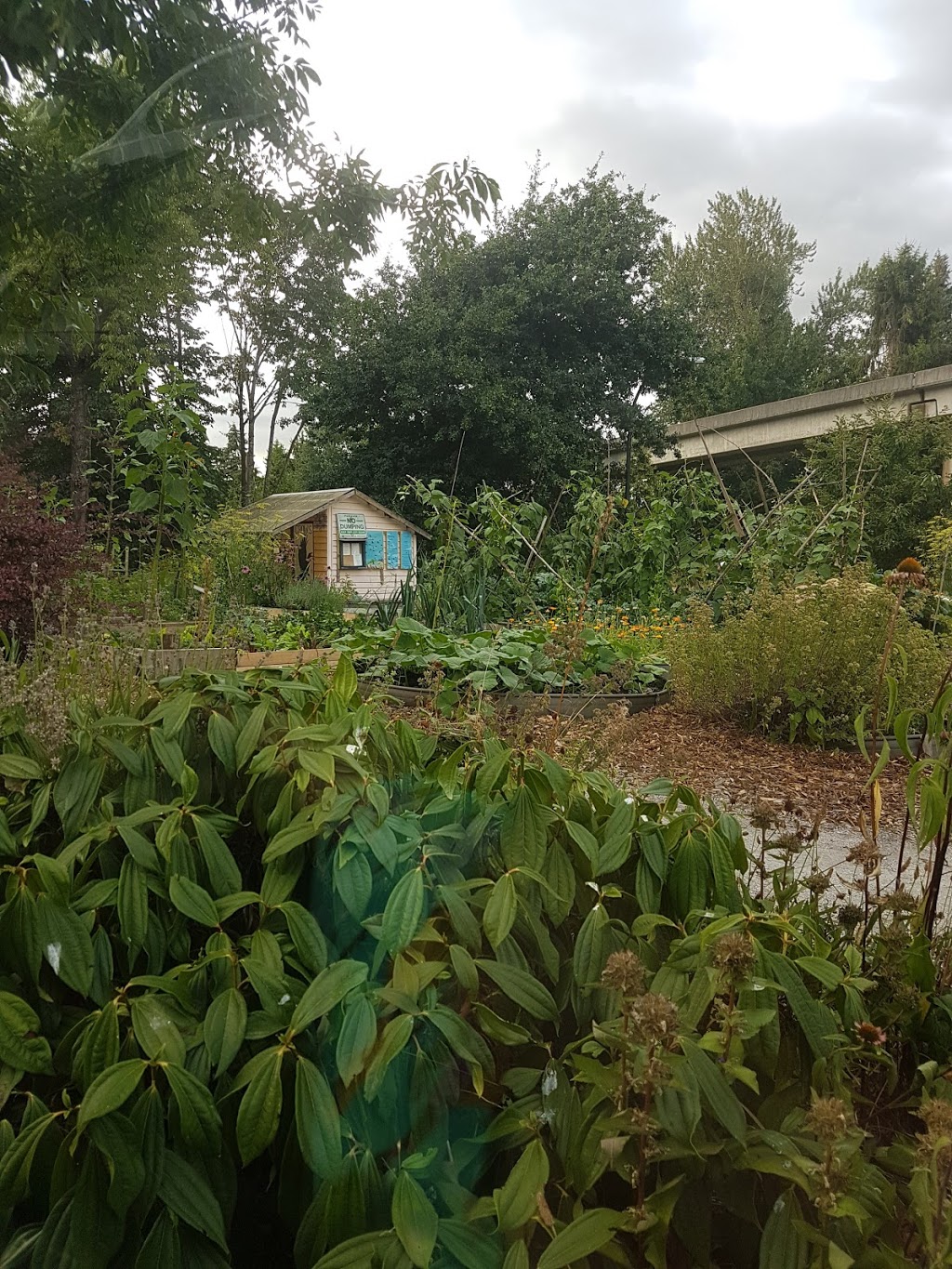 Crows Point Community Garden | 2299 E 24th Ave, Vancouver, BC V5N 2V3, Canada