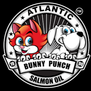 Bunny Punch Funny Dogs & Cats | 6084 Hyndman Dr, Melbourne, ON N0L 1T0, Canada | Phone: (519) 702-4725