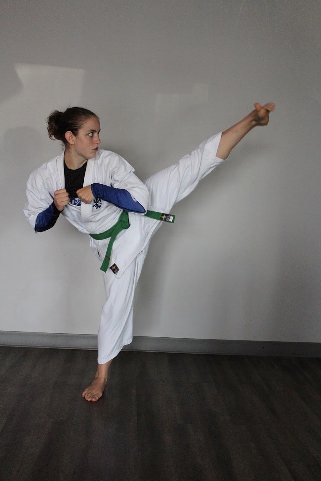 Karate St-Jean School Mario Poupart | 430 , 8 ie Avenue, (boul. Iberville), Saint-Jean-sur-Richelieu, QC J2X 1L9, Canada | Phone: (514) 260-5535