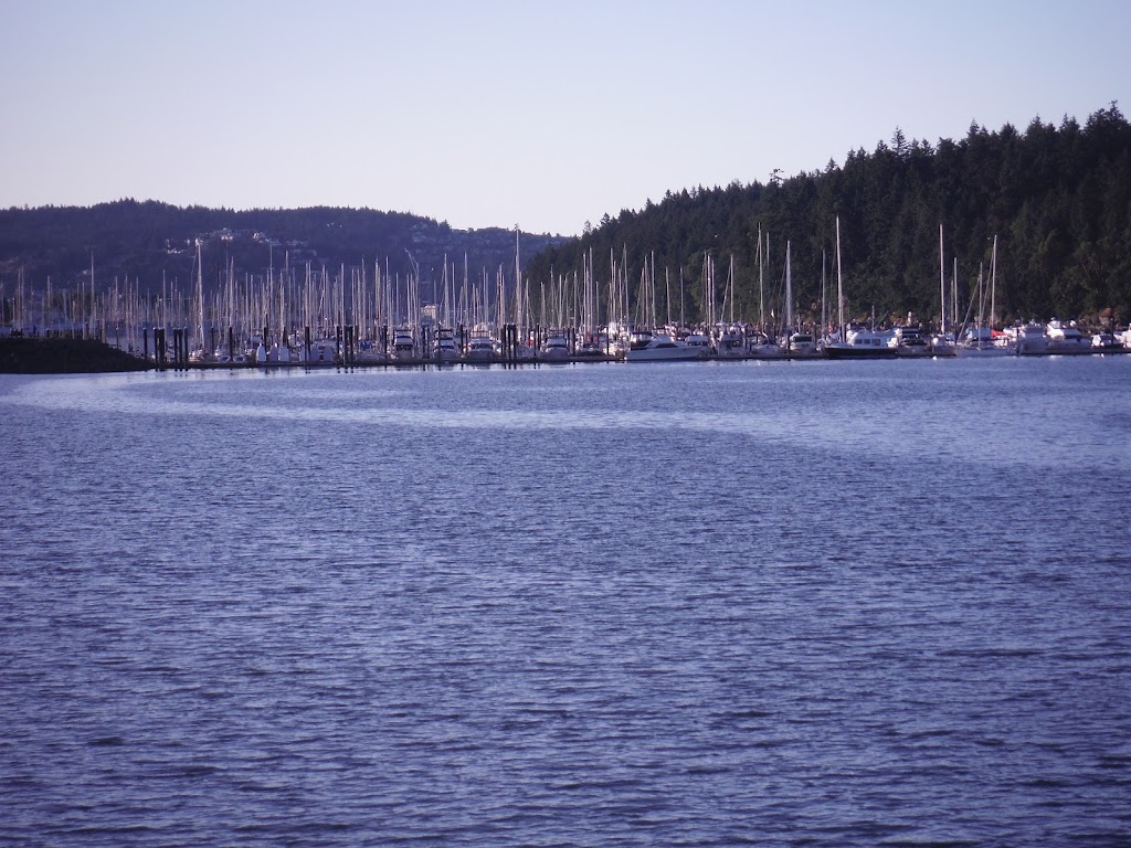 Protection Island Ferry | 151 Front St, Nanaimo, BC V9R 5E2, Canada | Phone: (250) 753-2373