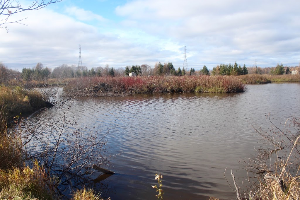 Mission Marsh Conservation Area - Parking Lot | 106th St, Thunder Bay, ON P7E, Canada | Phone: (807) 344-5857